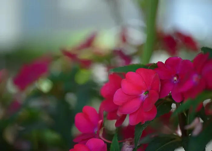 Prytanio Frühstückspension Ancient Olympia